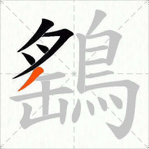 鷂