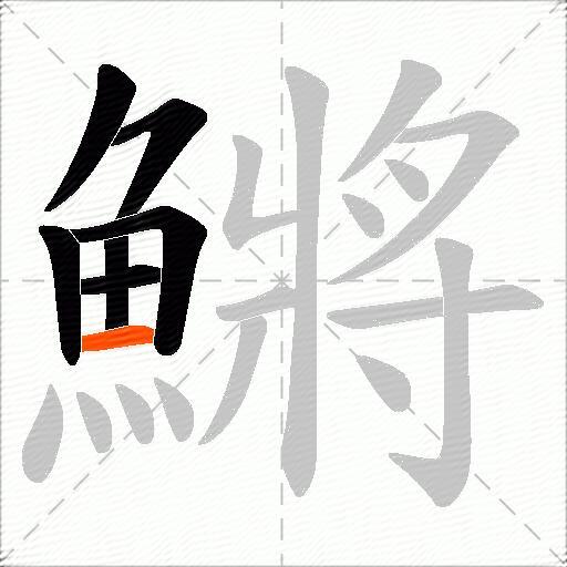 鱂