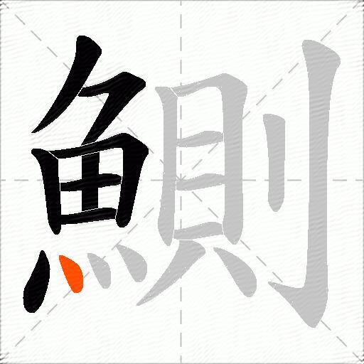 鰂