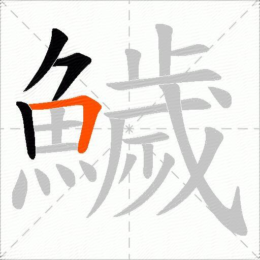 鱥