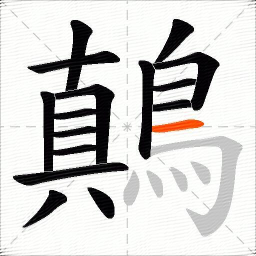 鷏