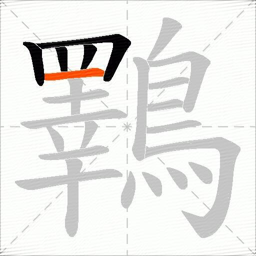 鸅