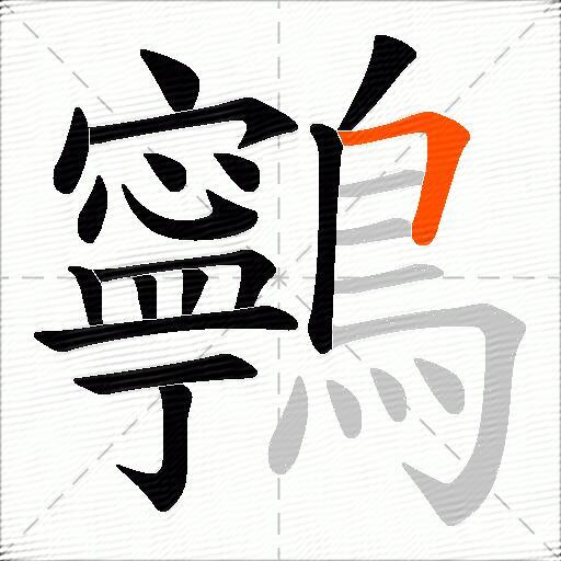 鸋