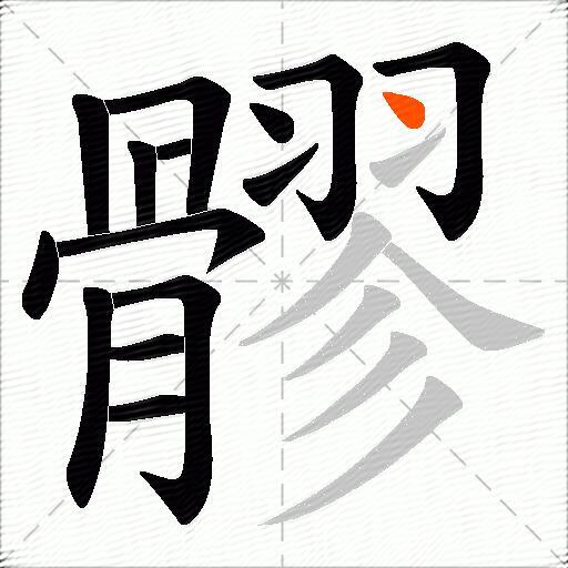 髎