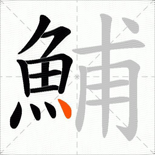 鯆