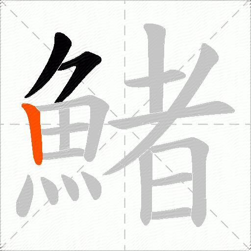 鯺