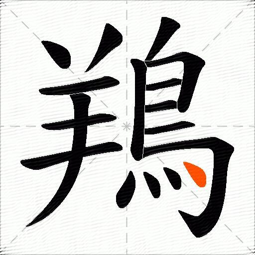 鴹