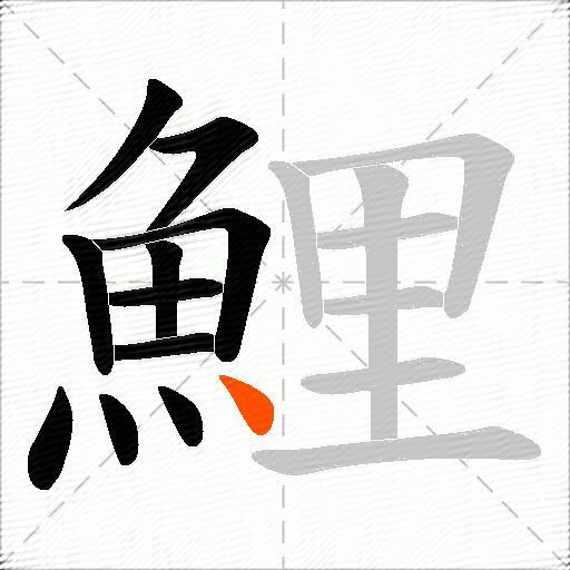 鯉