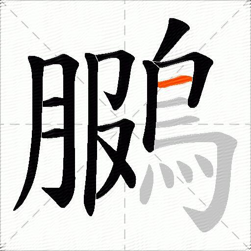 鵩