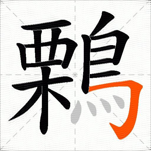 鷅