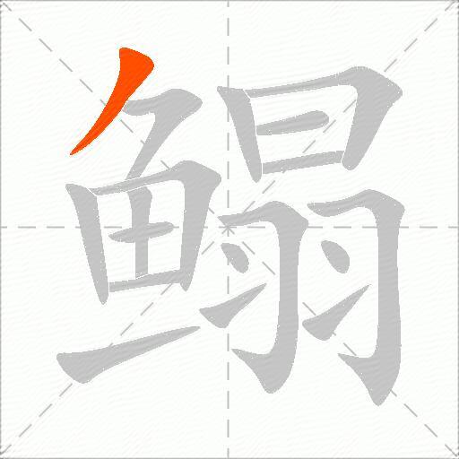 鳎