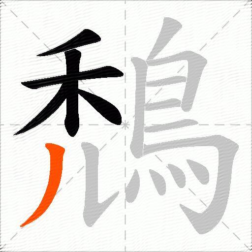 鵚