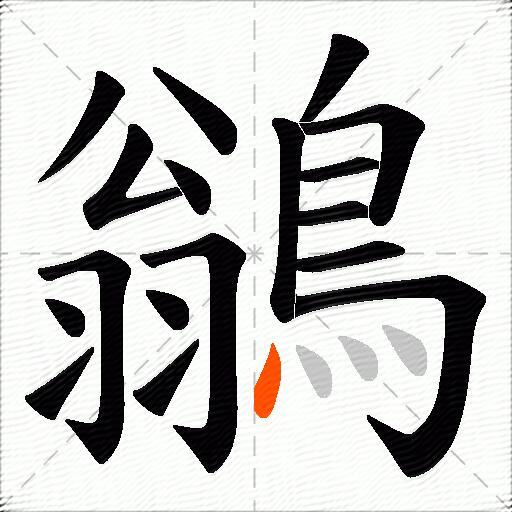 鶲