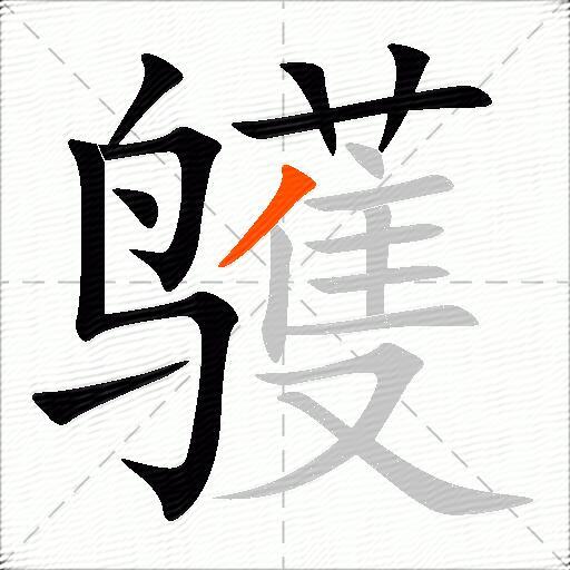 鹱