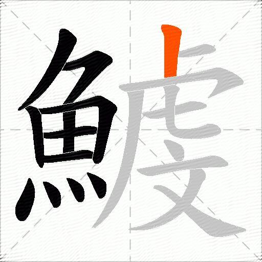 鰬