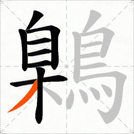 鷍