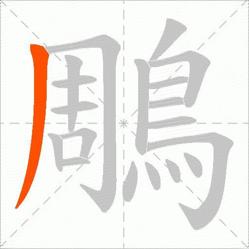 鵰