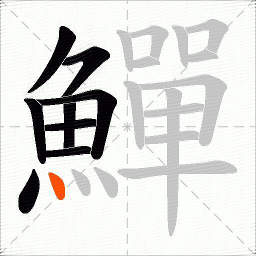 鱓