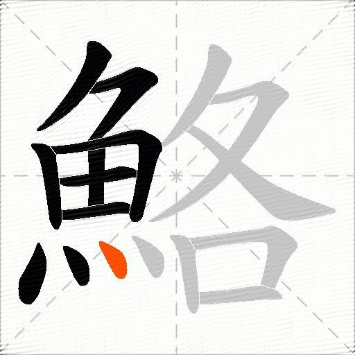 鮥