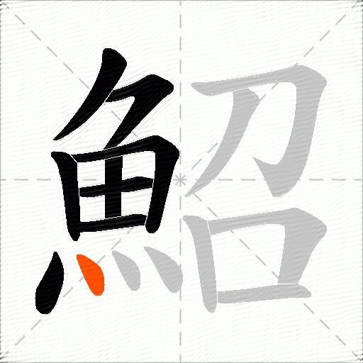 鮉