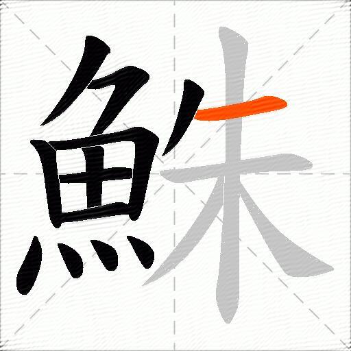 鮢