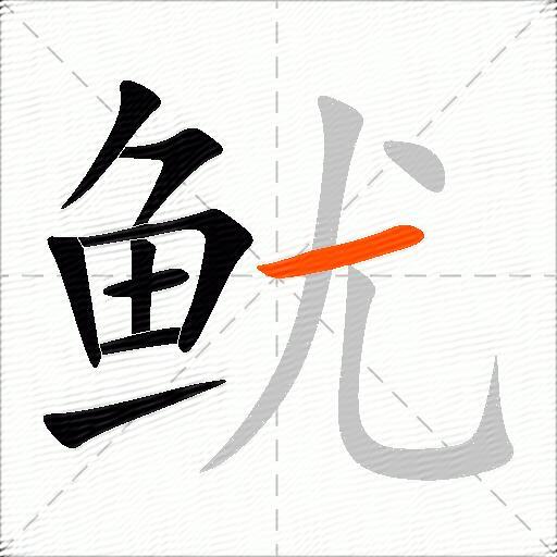 鱿