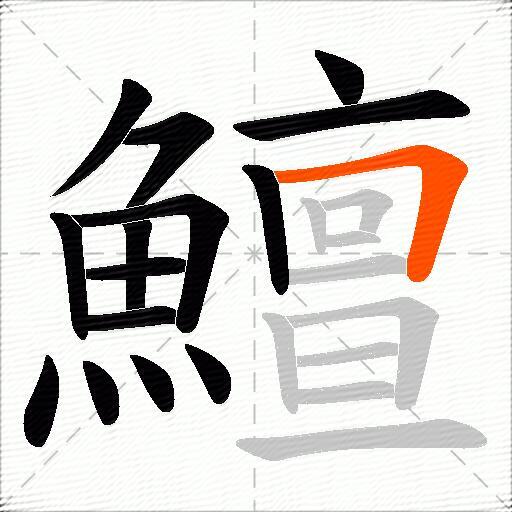 鱣