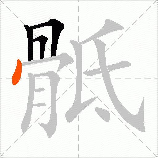 骶