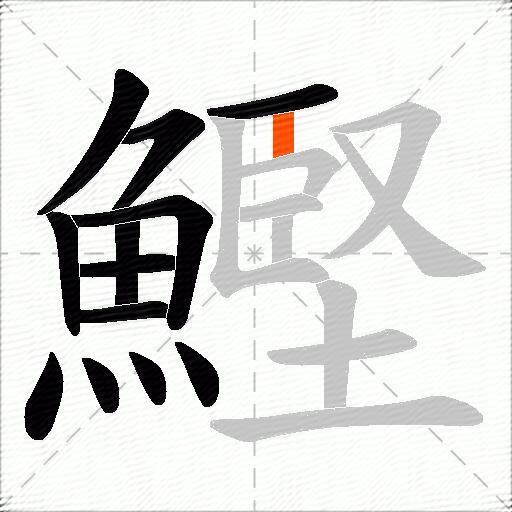 鰹