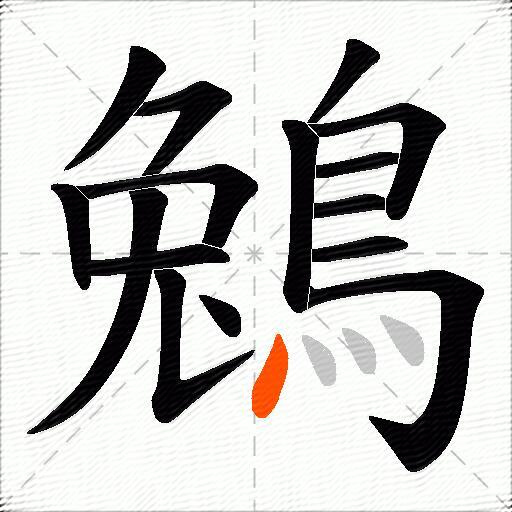 鵵