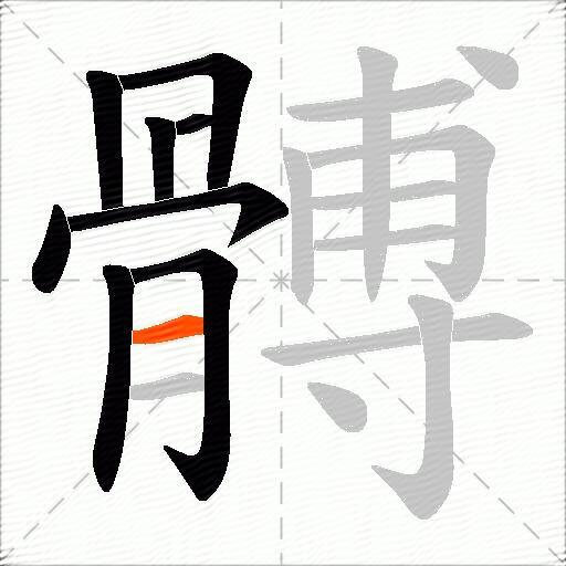 髆