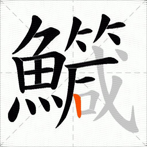 鱵
