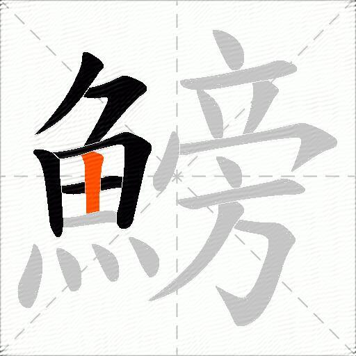 鰟