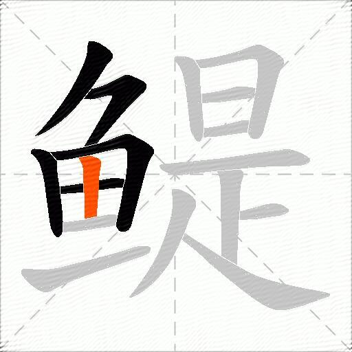 鳀