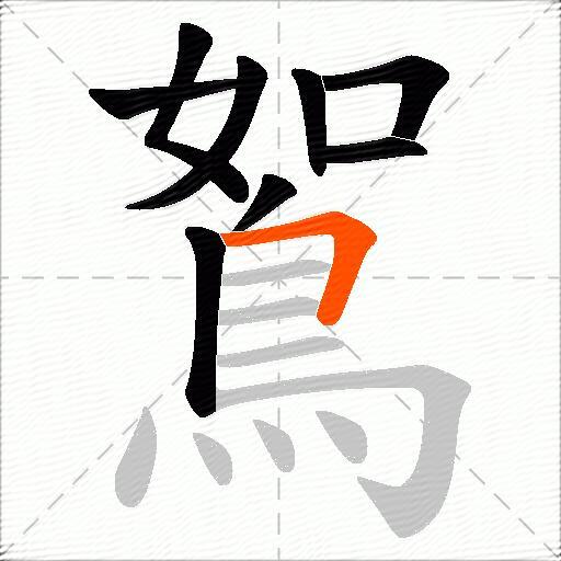 鴽