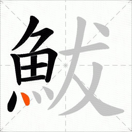 鮁