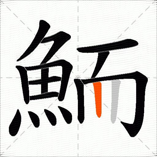 鮞