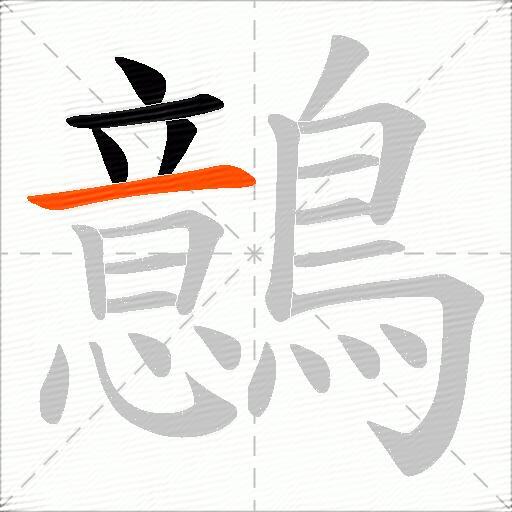 鷾