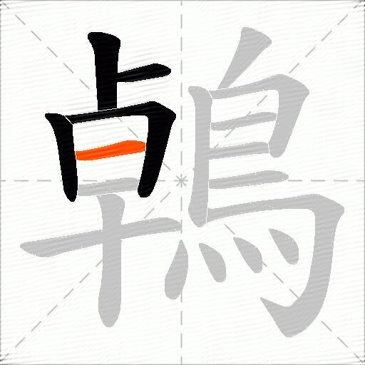 鵫