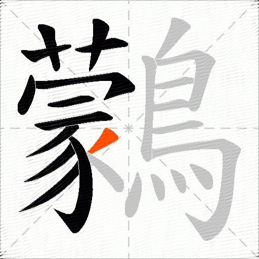 鸏