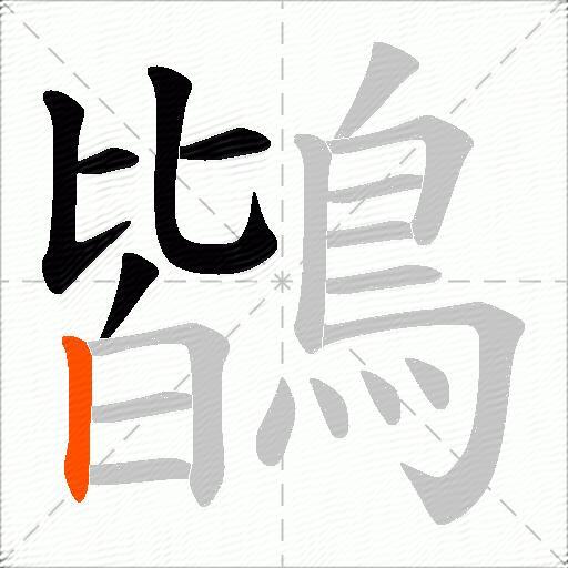 鶛
