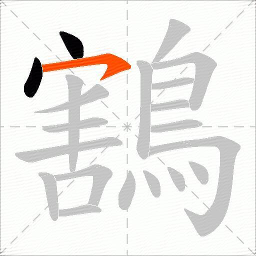 鶷