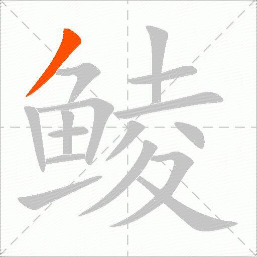 鲮