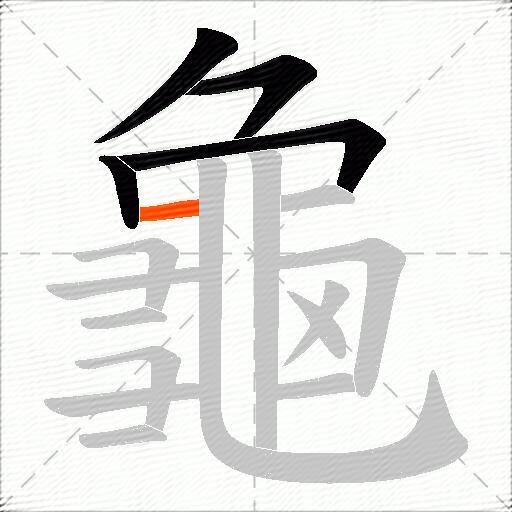 龜