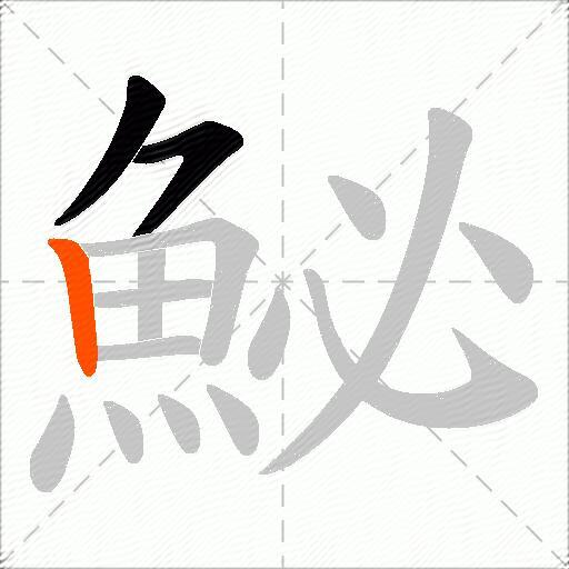 鮅
