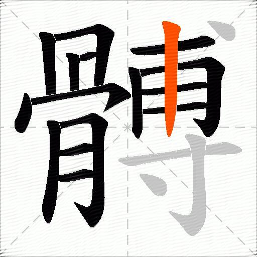 髆