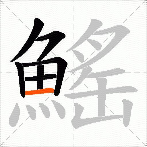 鰩