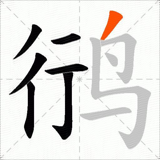 鸻