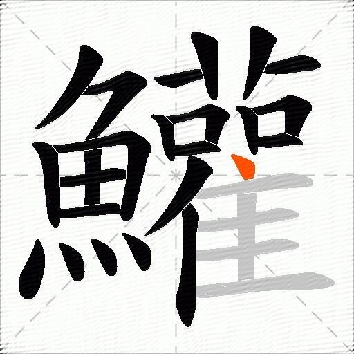 鱹