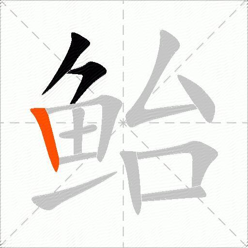 鲐